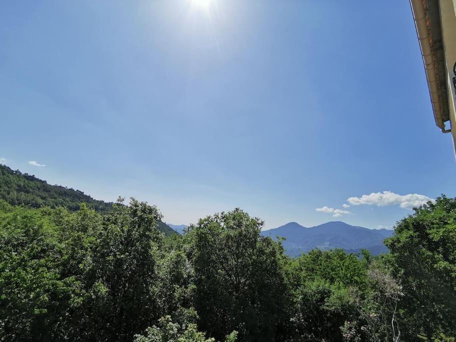 Appartement 2 Ou 4 Personnes. Venaco 文纳科 外观 照片